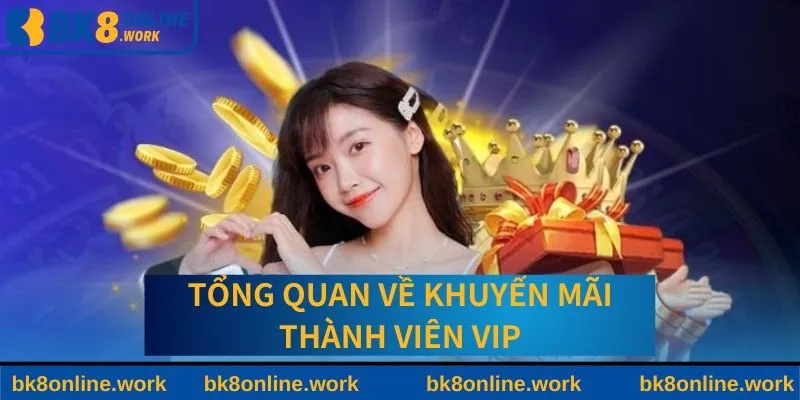 Giới thiệu khuyến mãi thành viên Vip cực hot