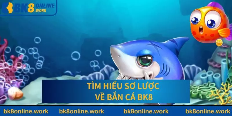 Tìm hiểu sơ lược về bắn cá tại BK8
